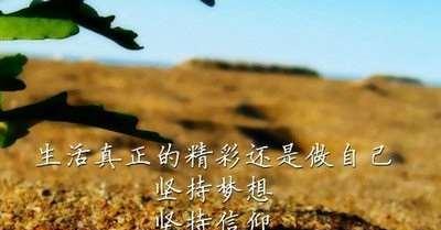 只要心中有梦想，就要勇敢前行（只要心中有梦想）