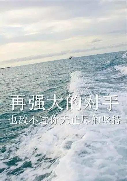 坚持不懈，追寻梦想（25个唯美短句）