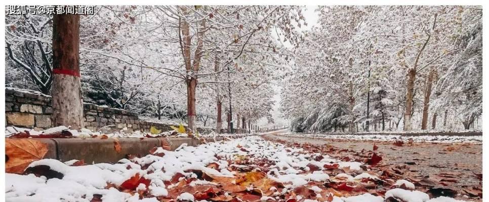 冬天的第一场雪，总是让人心驰神往（冬天的第一场雪）