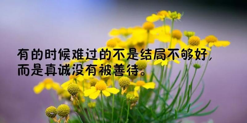 缤纷花开，春意盎然（盛开的花朵在风中轻摇）