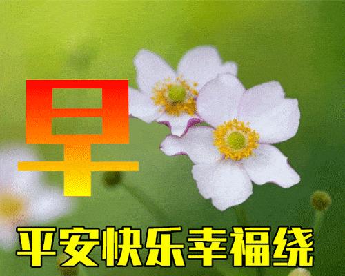 2023情侣间早晨浪漫的问候语有哪些？如何用问候语增进感情？