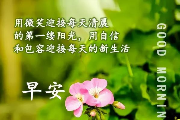 清明节如何微信群发祝福语？2023年清明祝福句子有哪些？