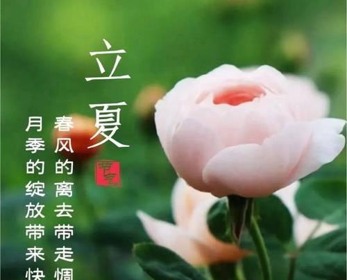 清明节如何微信群发祝福语？2023年清明祝福句子有哪些？