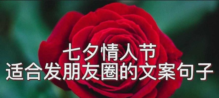 2023七夕节如何发朋友圈说说才个性有创意？