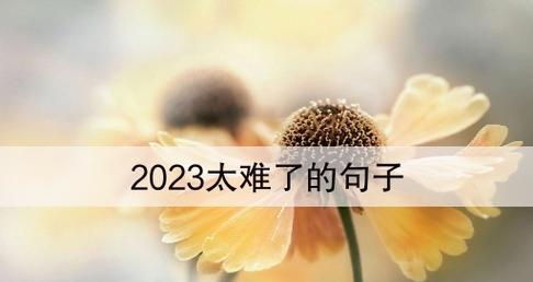 适合2023年底发的励志句子好句有哪些？如何激励自己迎接新年？