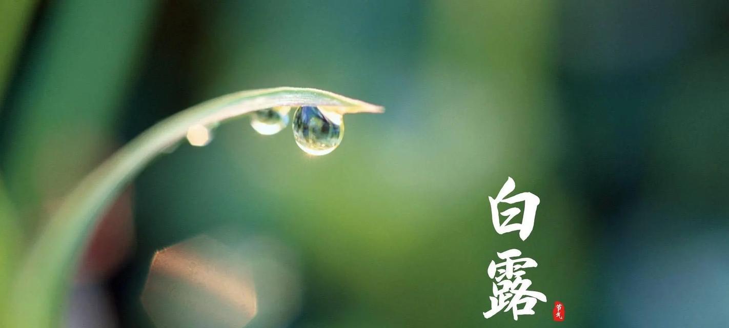 白露节气发朋友圈用什么好句？有哪些适合白露的文案？