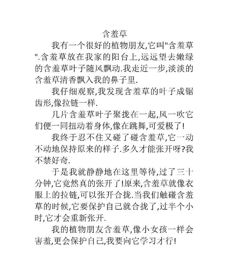 情窦初开的少年，寻找含羞草的秘密，他会发现什么（情窦初开的少年）