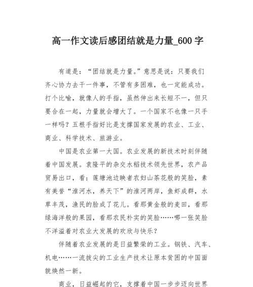 团结是力量的源泉（一个小型企业的成功之路）