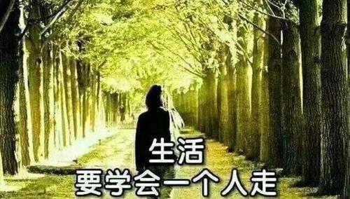 人生感慨的句子经典有哪些？如何用这些句子表达情感？