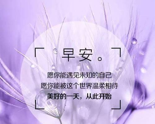 人生的感悟经典句子有哪些？如何在生活中应用？