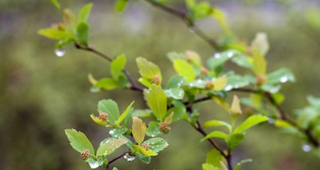 秋雨句子唯美短句子有哪些？如何在秋雨中寻找诗意？