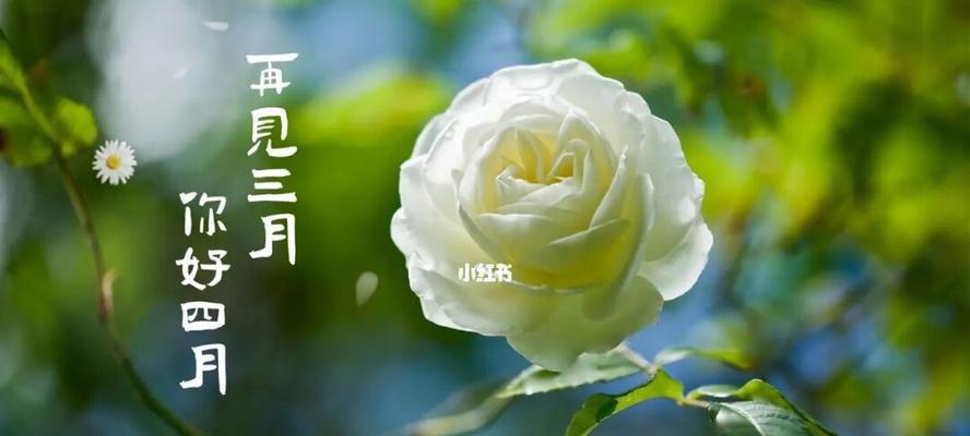 2023年三月结束四月开始的祝福语有哪些？如何表达对四月的美好期待？