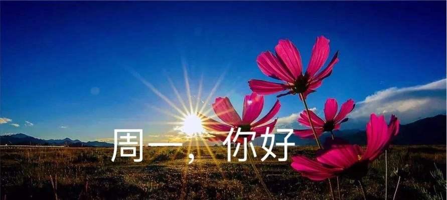 2023圣诞寄语唯美句子好句有哪些？如何挑选合适的祝福语？